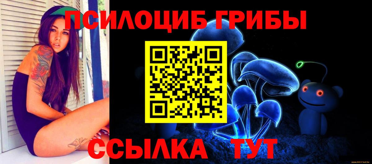 Псилоцибиновые грибы Psilocybe  Псилоцибиновые грибы Psilocybine cubensis  Ноябрьск  Вход с VPN 