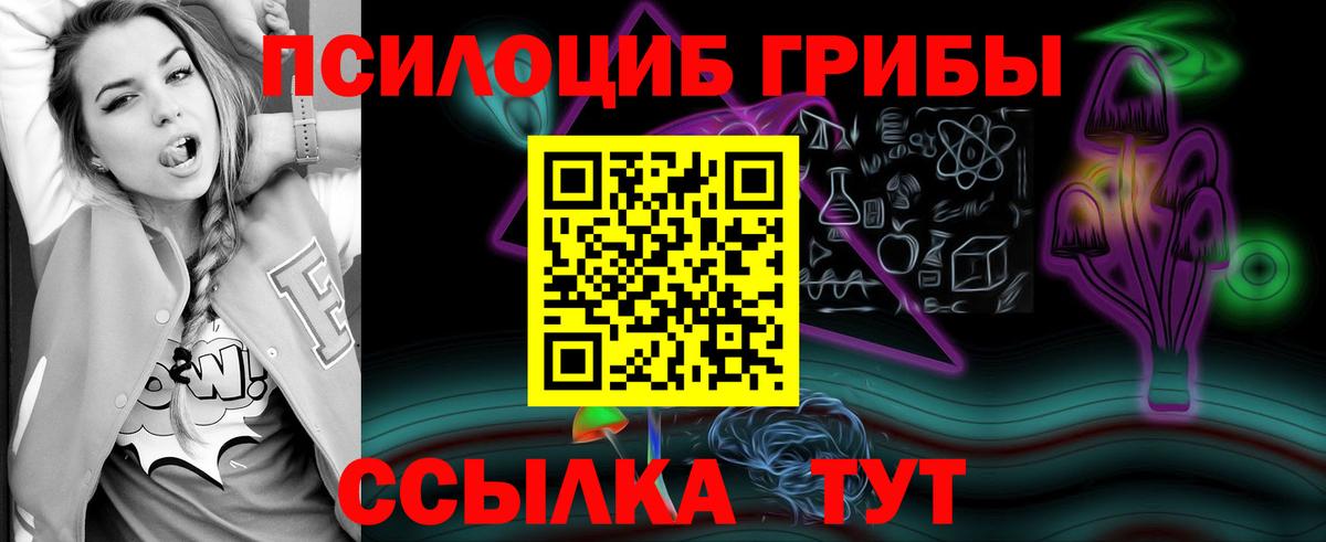 Псилоцибиновые грибы мицелий Ноябрьск