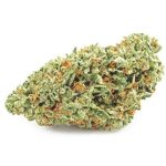 Шишки OG Kush  (Гидропоника, бошки) VHQ в Ноябрьске